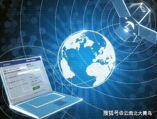 初学软件编程如何高效利用互联网信息服务解决困难